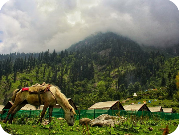 Camping in Tosh with Kheerganga Trek